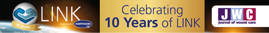 LINK 10 Years Anniversary