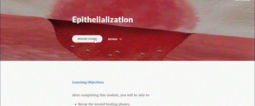 Epithelialization - E-Learning Course | LINK for Wound Healing
