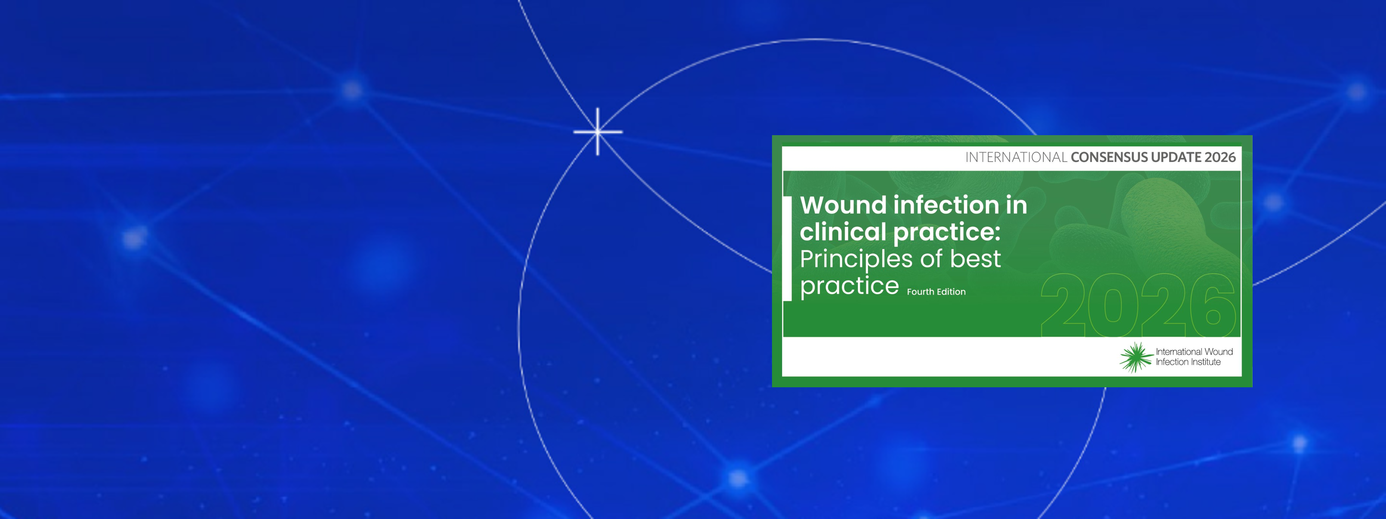 Wound infection in clinical practice: Principles of best practice ​