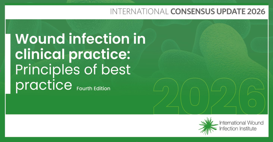 Wound infection in clinical practice: Principles of best practice ​