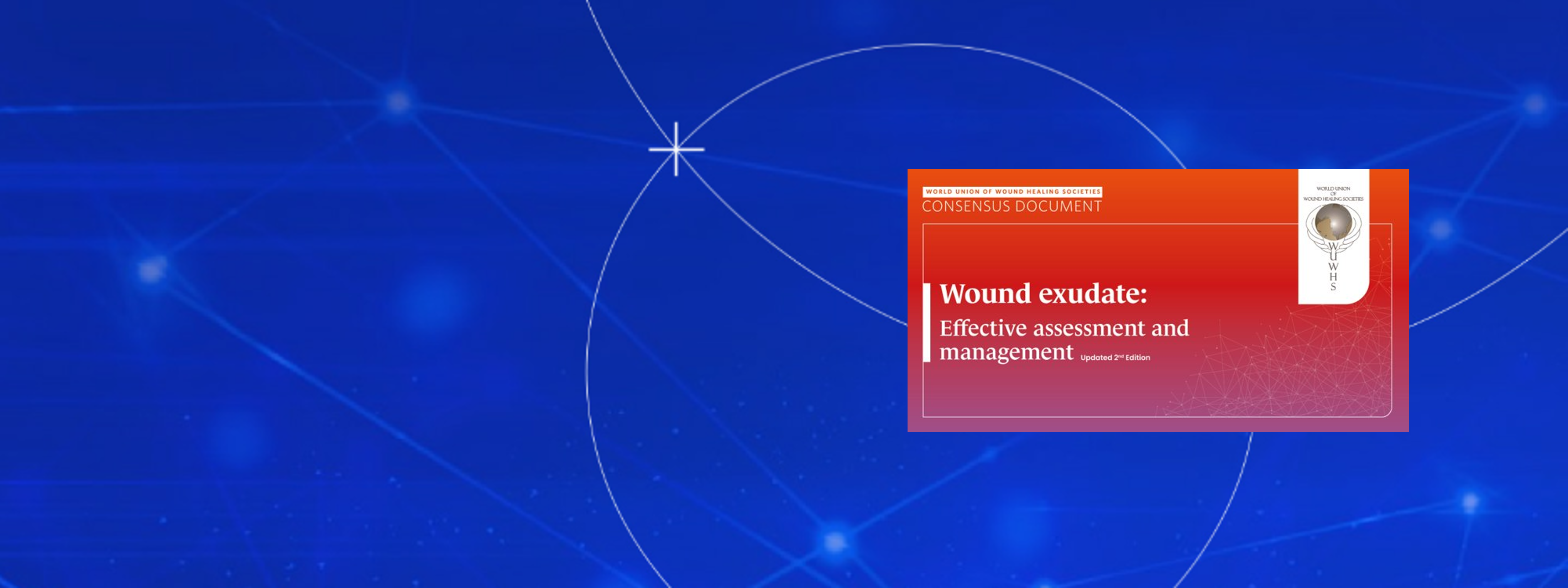 Wound exudate: Effective assessment and management